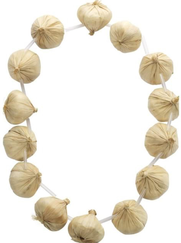 Imagine you meet Count Dracula. What is the first thing you'd ask him?