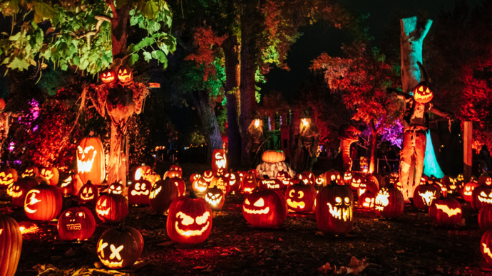 How good are you at carving Halloween pumpkins?