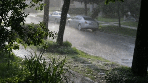 How often does it rain in your area?