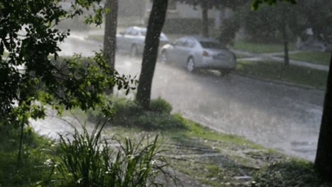 How often does it rain in your area?