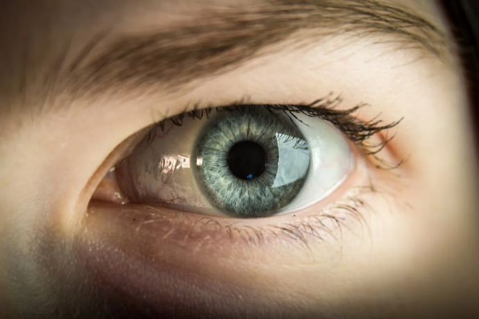 Eyeglasses, Contacts or Neither?