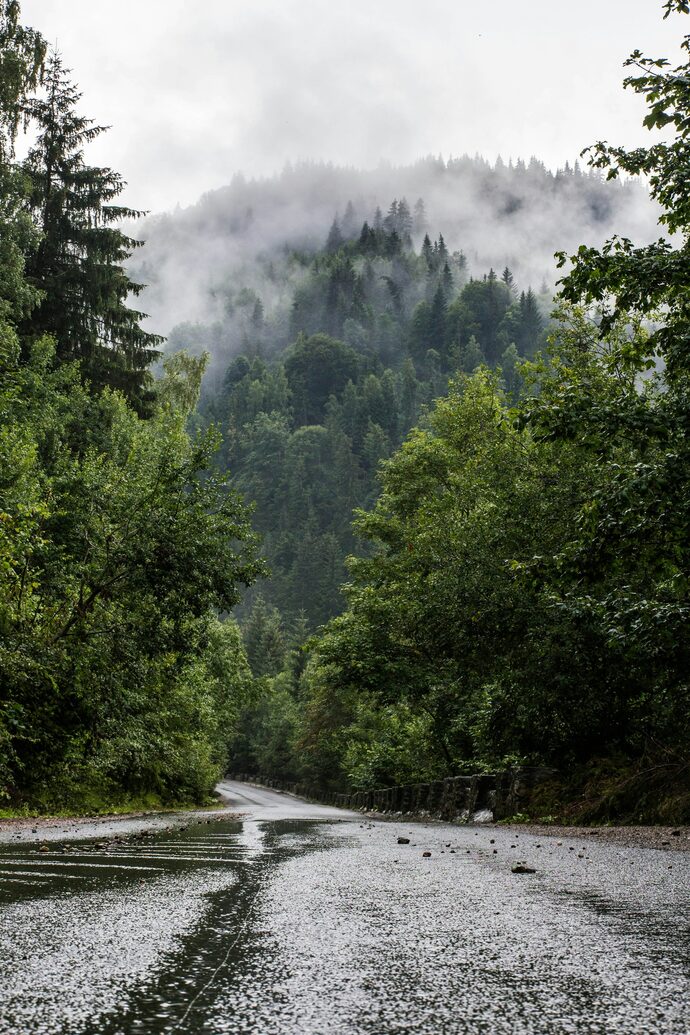 Which nature picture you like better ?