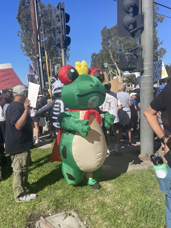 What are your thoughts on all these “violent” (😂) No Kings protests?