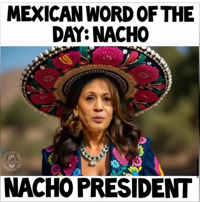 Kamala Harris claims she's the most qualified Presidential candidate ever, what does that say about Biden's winning candidacy in 2020?