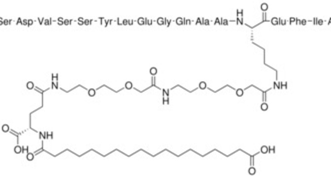 Semaglutide and yoyo effect?