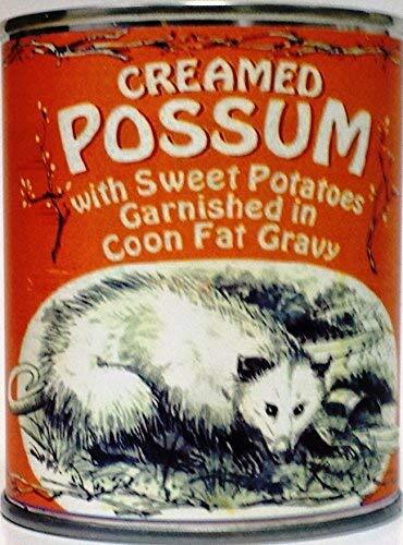 Can I use badger instead of coon in a recipe?