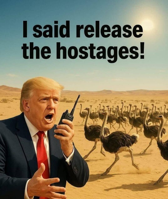 If ostriches were native to America would we be eating them instead of turkeys?
