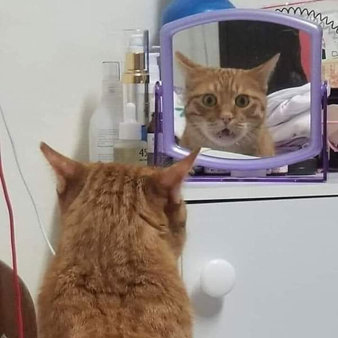 When was the last time you looked at yourself in a mirror?