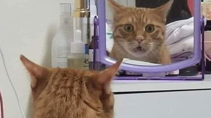 When was the last time you looked at yourself in a mirror?