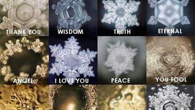 Have you heard of Dr. Masaru Emoto?