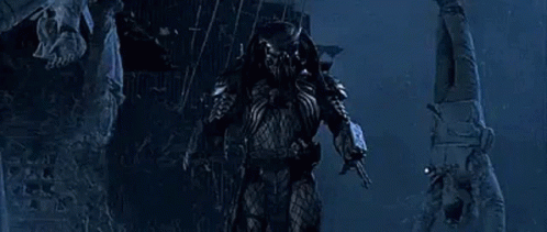 When you hear the word ‘predator,’ what is the first thing that comes to your mind?