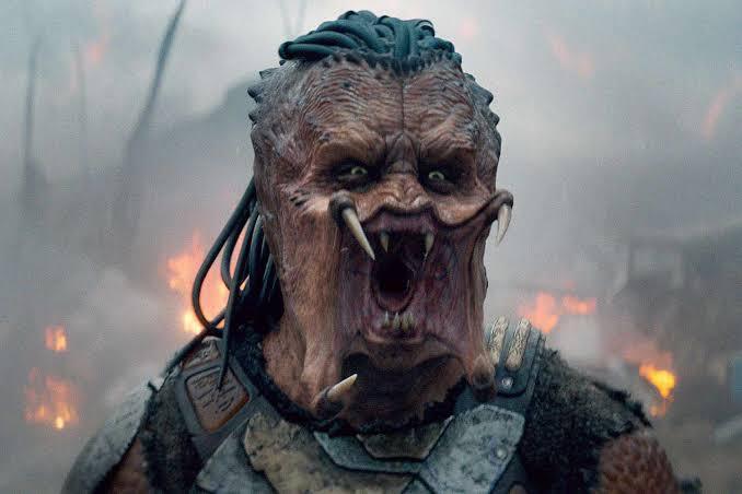 When you hear the word ‘predator,’ what is the first thing that comes to your mind?