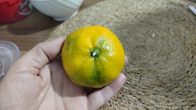 Do you eat tangerines?