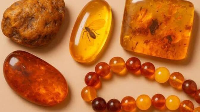 Does anyone know if there is a market/demand for Amber in the U. S?