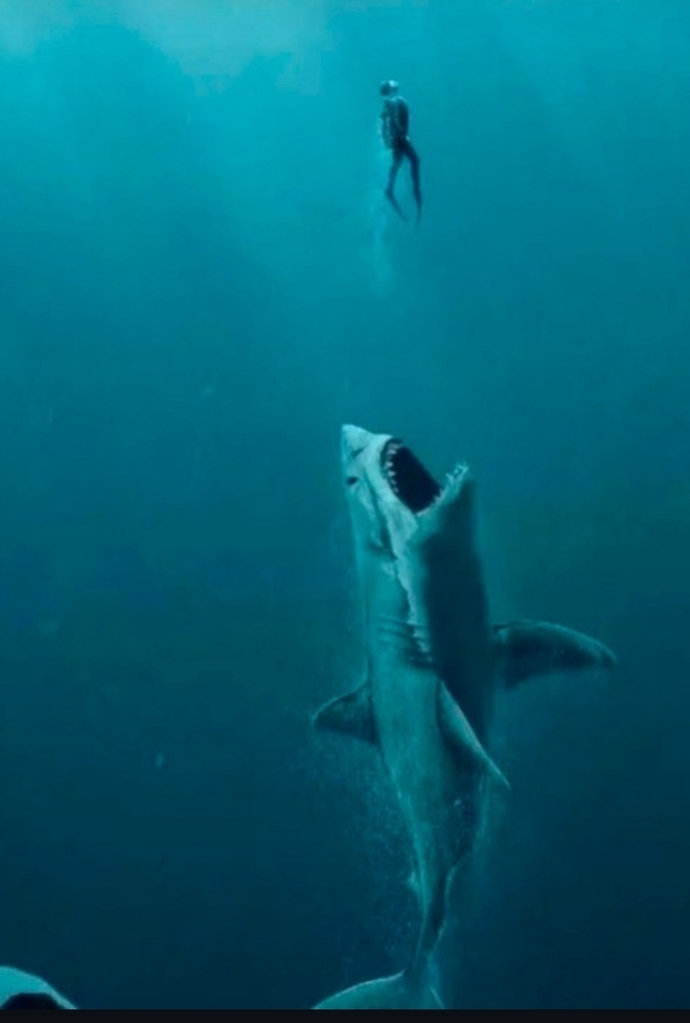 Guys, Have you tried during Shark 🦈 days?