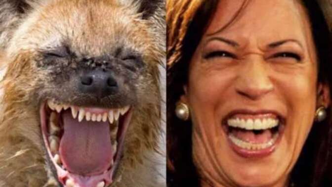 Do you think that Kamala Haris's Political Career Is Over?