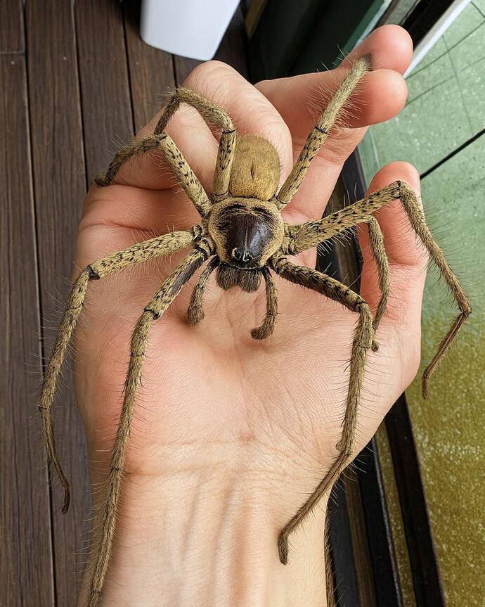 If someone paid you $200, would you hold this for 5 minutes?