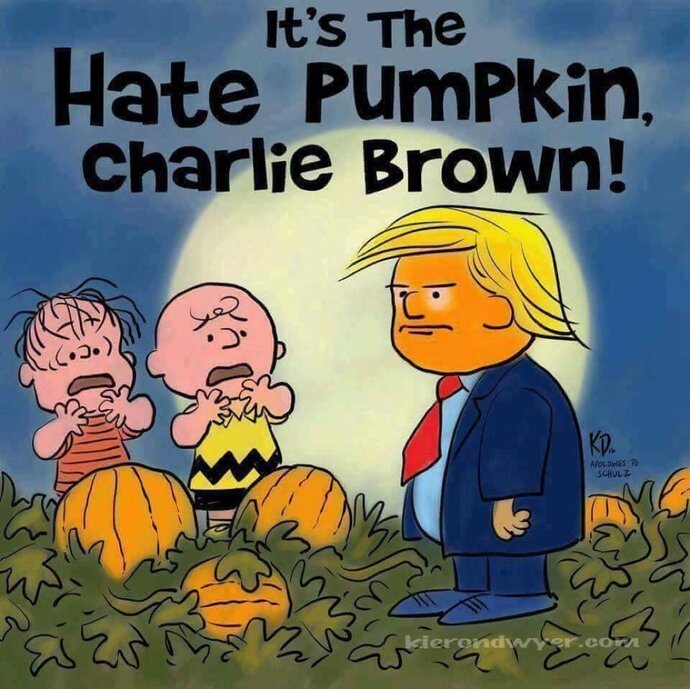 Do you sit in a pumpkin patch all night?