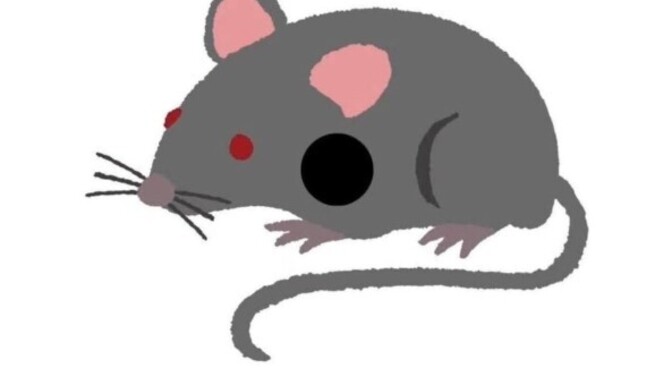 What colour is the mouse?