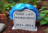 Is wokeness dying?