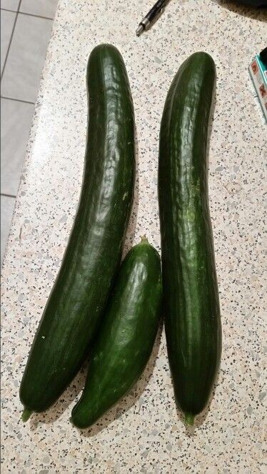 What do you like cucumber in?
