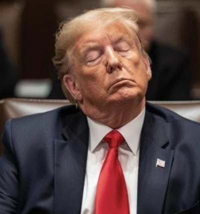At least he's not "woke." 🤡
