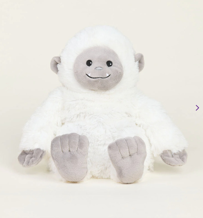 Is this ok to get for a 9 month old family member?