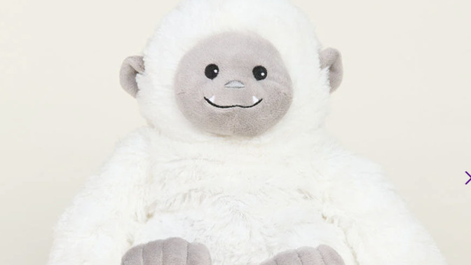 Is this ok to get for a 9 month old family member?