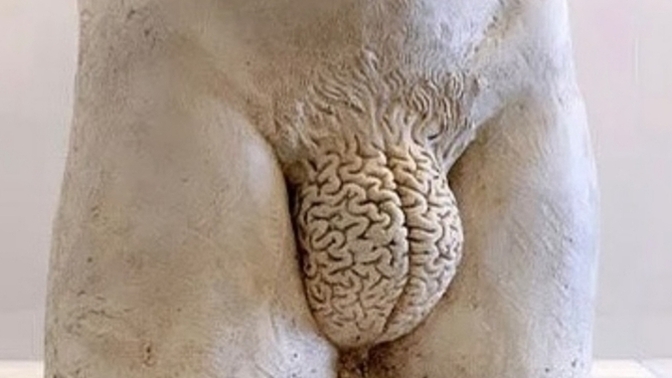 Why do many men stop using their brains when talking to pretty girls?
