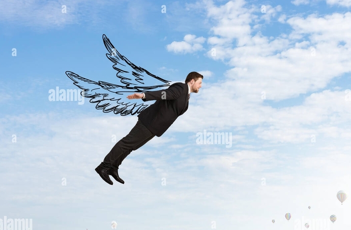 If you could FLY, would you want to be a bird, an insect, or just grow wings?