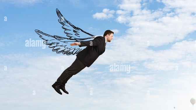 If you could FLY, would you want to be a bird, an insect, or just grow wings?