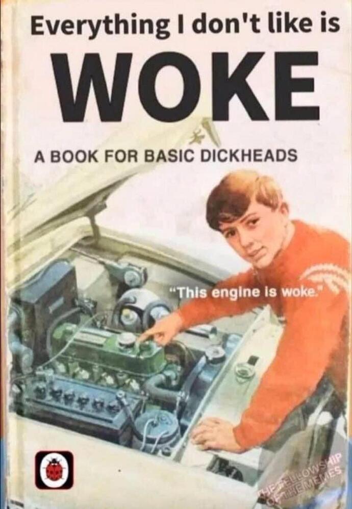 Everything I don't like is woke