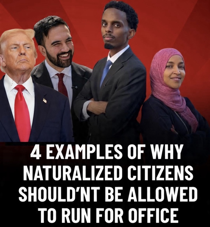 Do you think Naturalized Citizens should run a government?