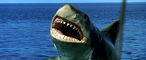 How GOOD are your TEETH?