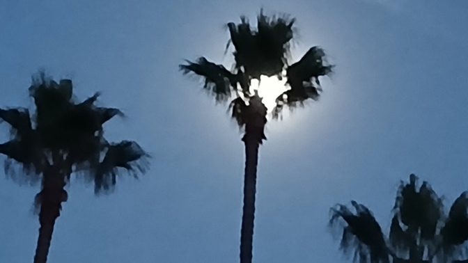 Do you own a telescope? Might not need it tomorrow night Nov 5 because it is the Beaver Moon (super moon) ?