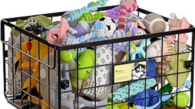 Who has more TOYS in your house, YOU or your PETS?