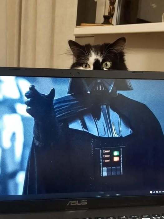 I find your lack of treats disturbing!