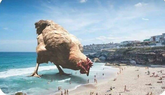 If chickens were bigger would they have human eating contests?