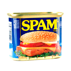 Do you know where the word 'spam' comes from?