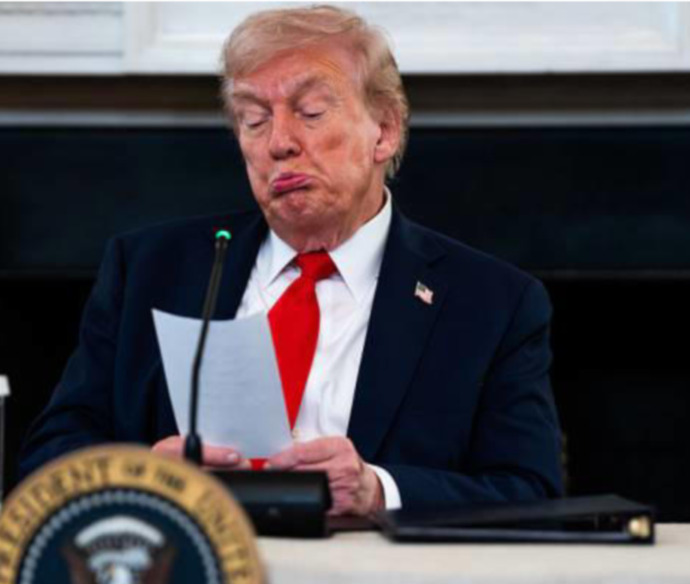 Do you think Trump and Musk should team up again?