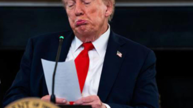Do you think Trump and Musk should team up again?