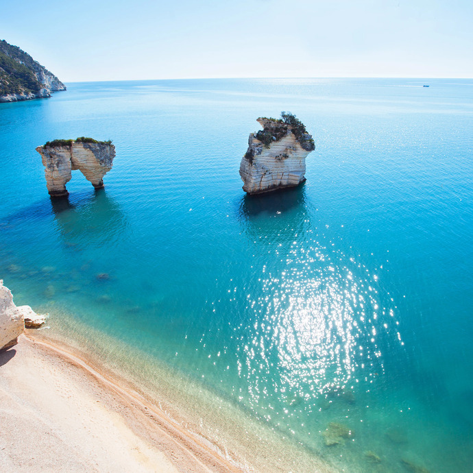 Which vacation would excite you most?