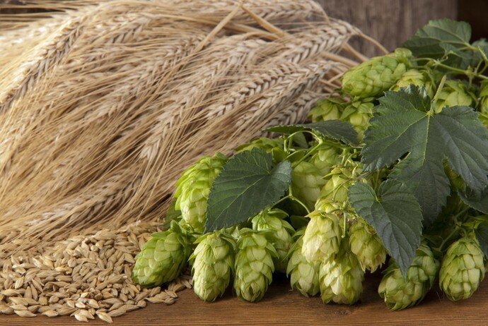 Do you prefer hoppy or malty beers?