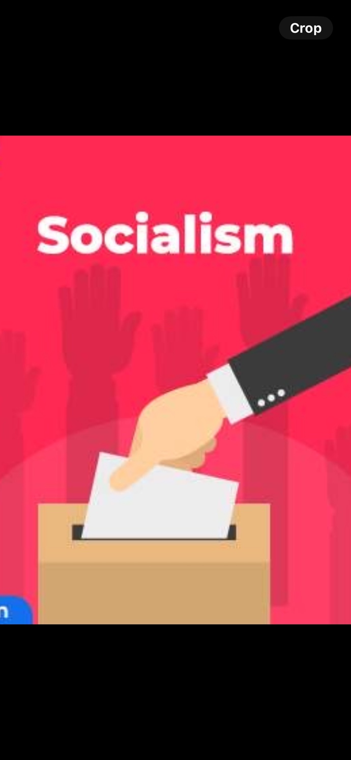 If a capitalist and a socialist were running against each other for the Presidency in the USA, who would you vote for and why?