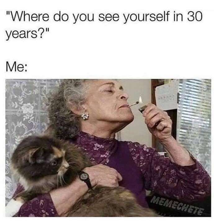 What are your main concerns about growing old?