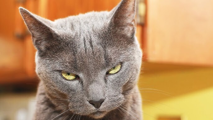 Have you ever had to deal with people who clearly dont like you and you have no idea why? how did you endure it?