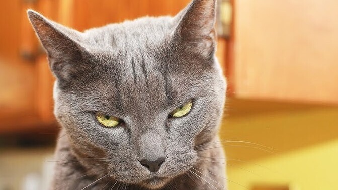 Have you ever had to deal with people who clearly don't like you and you have no idea why? how did you endure it?