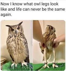 Do you like how your legs look?