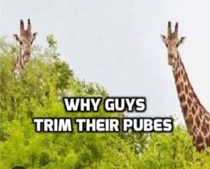 How do you solve the moral muff question?