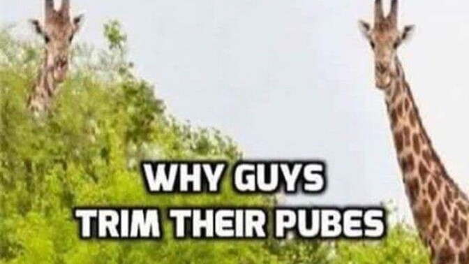 How do you solve the moral muff question?